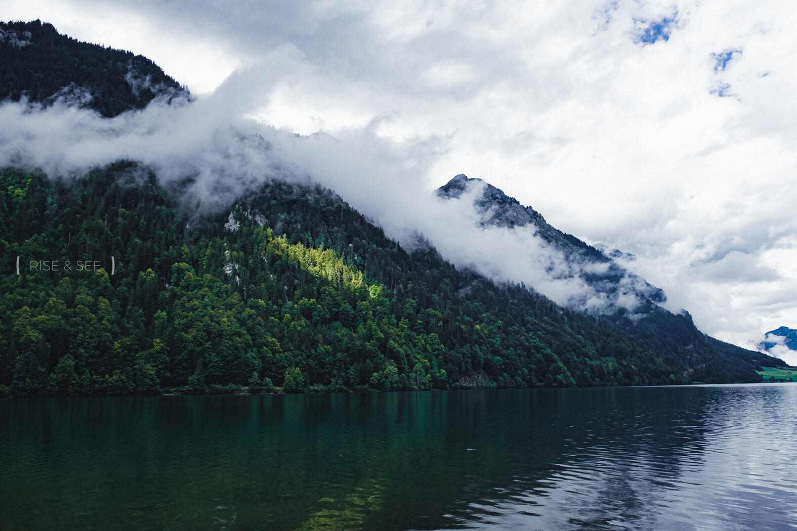 Sunny Spot on a Rainy Day | © Rise & See