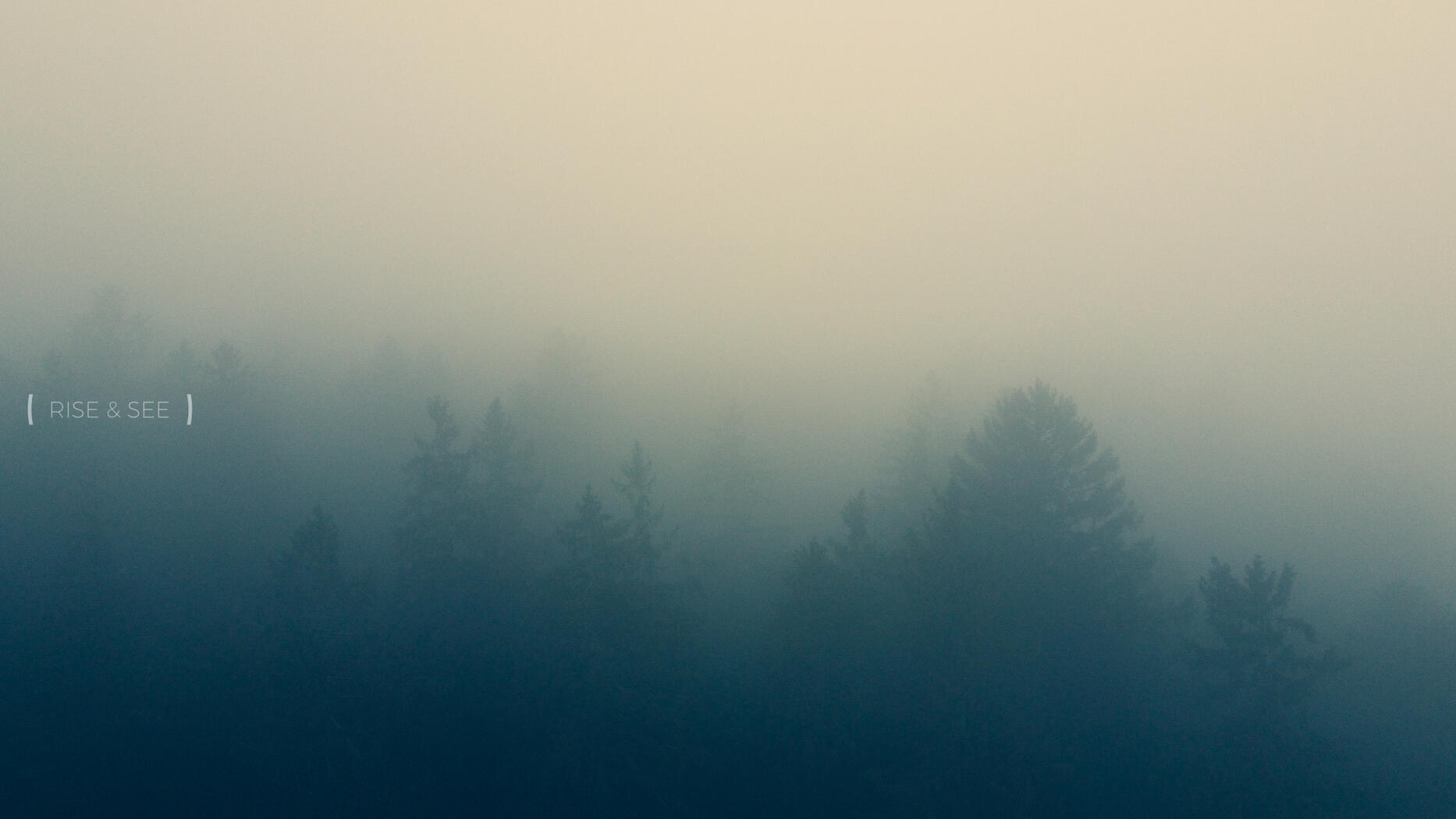 Foggy Trees | © Rise & See