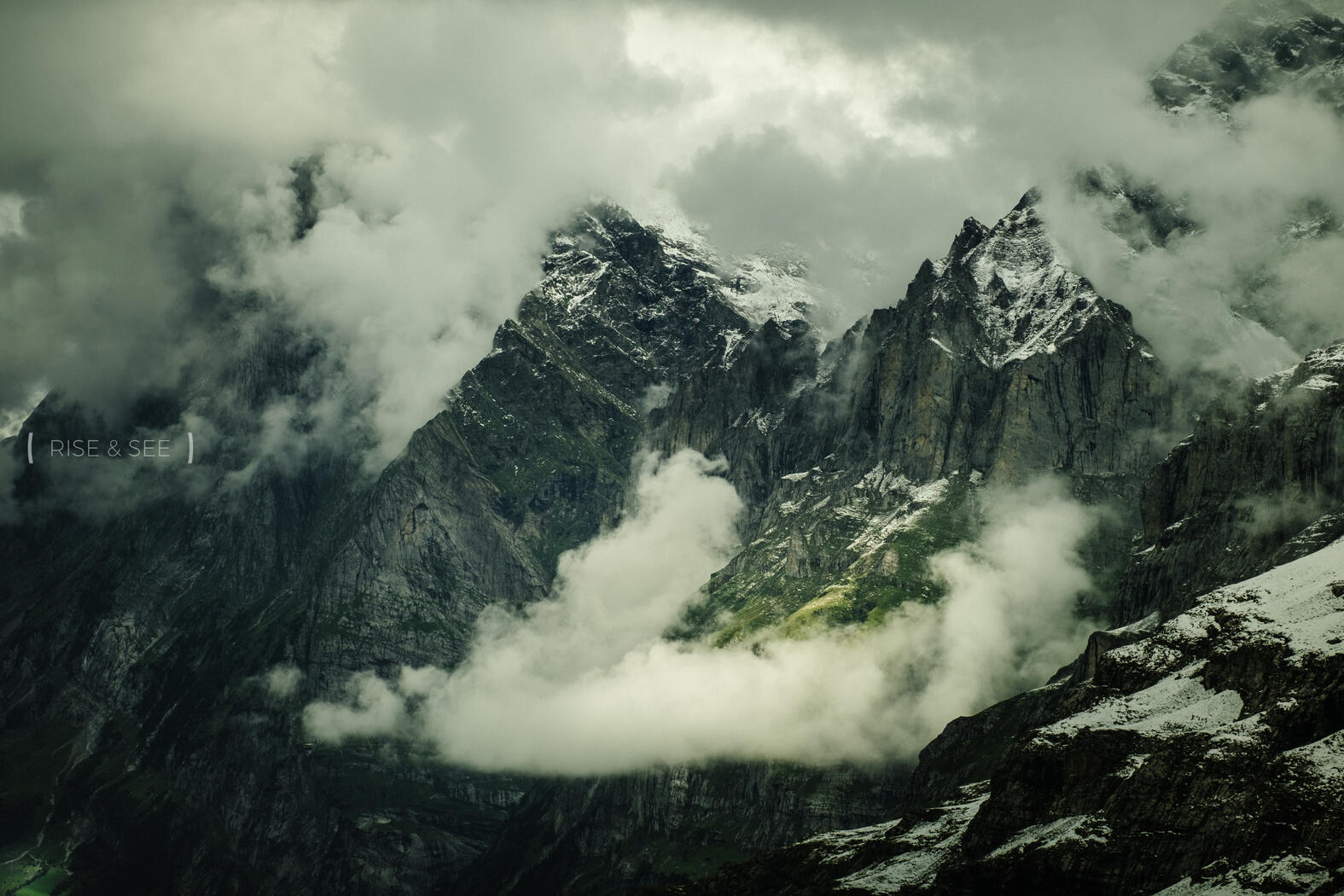 Spot the green | © Rise & See