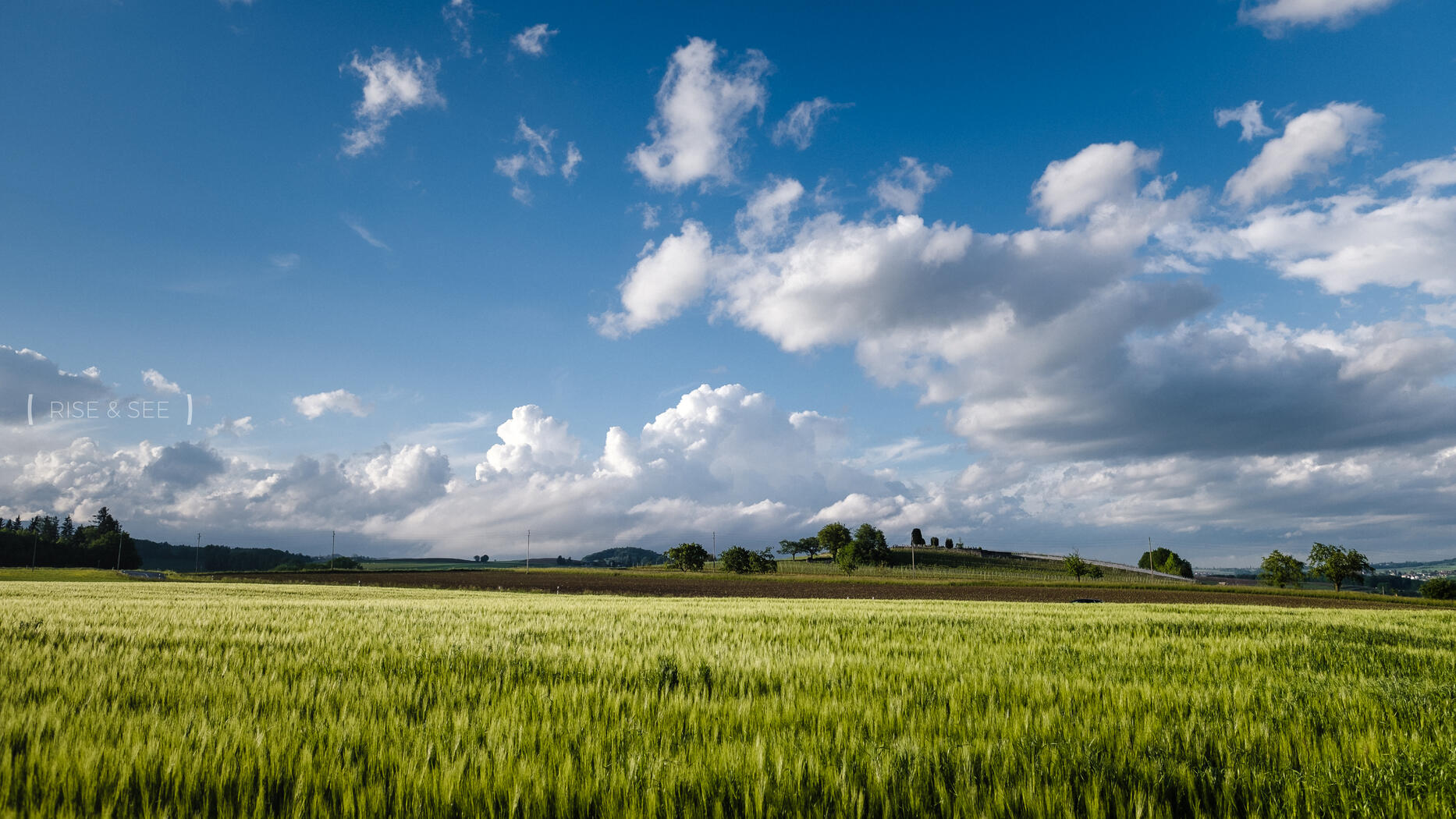 Refreshing | © Rise & See