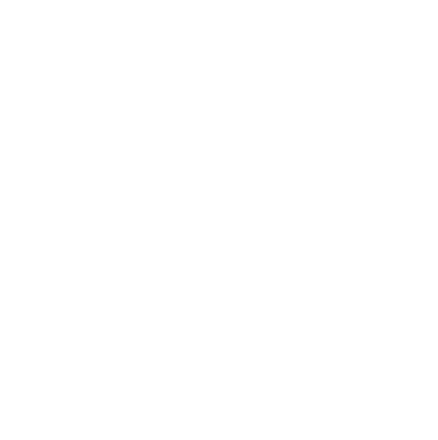 Rise & See Aerial Photography Logo